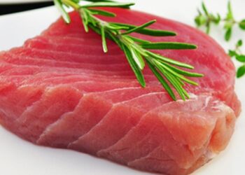 Tuna Sirip Biru, Ikan Termahal di Dunia, Ternyata Dijual Lokal di Gorontalo