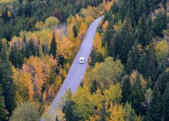 Solo Traveling untuk Pemula, Ini Persiapan dan Tips Aman