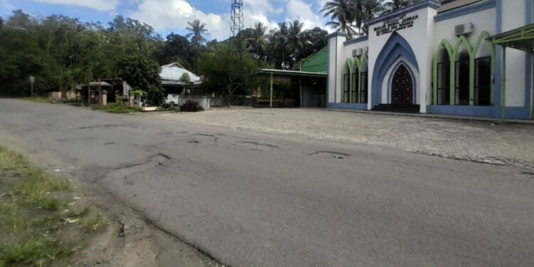 Jalan Poros Makassar–Soppeng di Bone Rusak Parah, LPHLH Desak Pemerintah Segera Bertindak