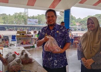 Hadapi El Nino, Dinas Pertanian Maros Salurkan Hampir 500 Pompa Air, 3.000 Hektare Sawah Masuk MT3